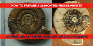 Preparation of ammonites from the  'Junction Bed' of  Ilminster, Somerset