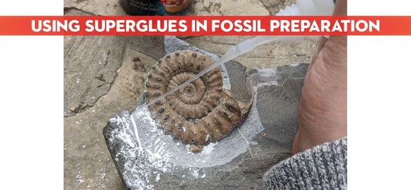 Superglues in Fossil Preparation - ZOIC PalaeoTech