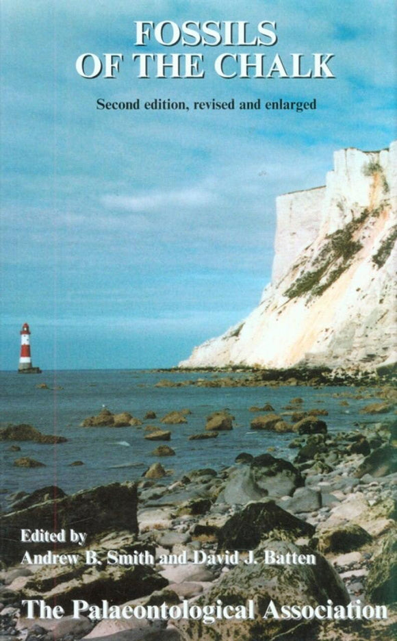 Fossils of the Chalk fossil hunting guide identification