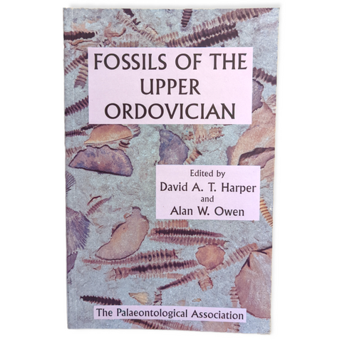 Fossils of the Upper Ordovician