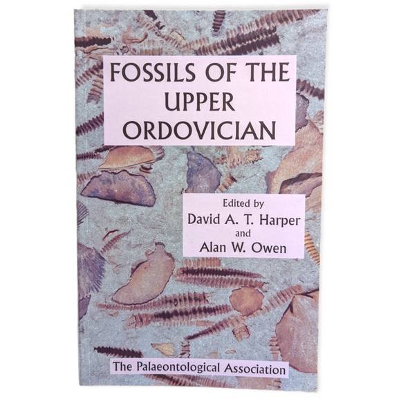 Fossils of the Upper Ordovician