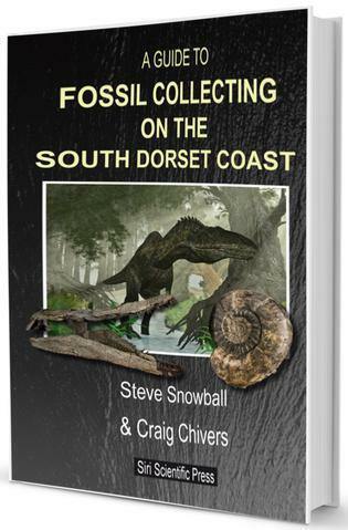 A Guide to Fossil Collecting on the South Dorset Coast fossil hunting guide