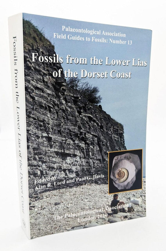 Fossils from the Lower Lias of the Dorset Coast fossil hunting dorset
