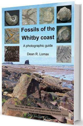 Fossils of the Whitby Coast: A Photographic Guide yorkshire coast fossil hunting collecting ID