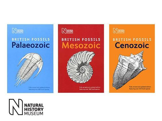 Fossil Identification guides natural history museum british mesozoic fossils british palaeozoic fossil british cenozoic fossils 3 pack