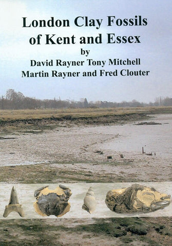 London Clay Fossils of Kent and Essex - ZOIC PalaeoTech